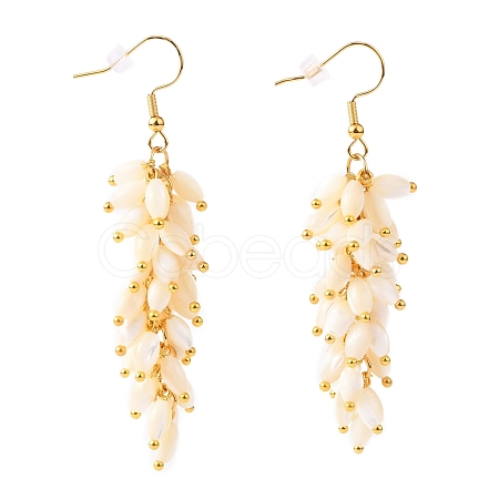 Natural Trochid Shell/Trochus Shell Cluster Earrings EJEW-JE04348-1