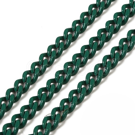 Spray Painted 304 Stainless Steel Curb Chains STAS-B067-05B-07-1