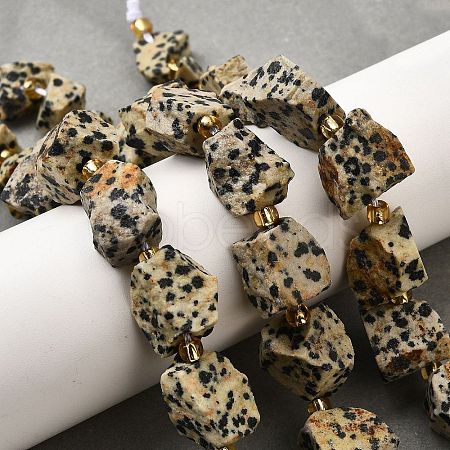 Raw Rough Natural Dalmatian Jasper Beads Strands G-Z087-A01-1