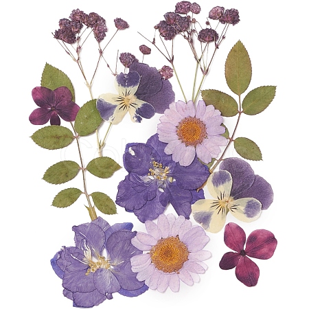 Pressed Dried Flowers DIY-YWC0001-102-1
