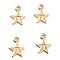 Brass Charms, Loops, Star with Letter T, Real 24K Gold Plated, 8.5x6x0.5mm, Hole: 1mm