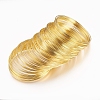 Steel Memory Wire MW5.5CM-1-NFG-1