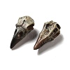 Crow Raven Bird Skull Resin Home Display Decoration RESI-A018-01B-2