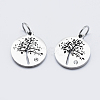 Eco-Friendly 316 Surgical Stainless Steel Micro Pave Cubic Zirconia Charms RB-I078-75P-NR-1
