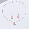Zinc Alloy Crystal Rhinestone & Acrylic Pendant Necklaces & Stud Dangle Earrings Sets WGD1CBB-02-1