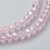 Electroplate Glass Beads Strands X-EGLA-F124-FR-B05-3