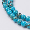Sea Shell and Synthetic Turquoise Assembled Beads Strands G-G758-04-6mm-3