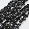 Natural Snowflake Obsidian Beads Strands G-F328-10-1