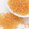 8/0 Transparent Glass Round Seed Beads SEED-J010-F8-22-1