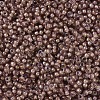MIYUKI Round Rocailles Beads SEED-JP0008-RR0337-3