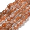 Natural Peach Moonstone Beads Strands G-P497-01E-69B-2