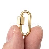 Brass Screw Carabiner Lock Charms KK-T047-08-6