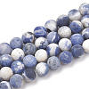 Natural Sodalite Beads Strands G-T106-212-1