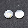 Shell Cabochons SSHEL-E568-A11-1
