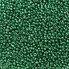 12/0 Glass Seed Beads SEED-A017-2mm-1114-2