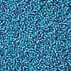 TOHO 11/0 Round Beads X-SEED-TR11-0023BF-2
