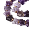 Natural Amethyst Beads Strands G-N371-10A-04-4