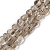 Natural Smoky Quartz Beads Strands G-H085-D01-01-1
