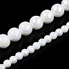 Electroplate Opaque Glass Beads Strands LS-GLAA-T032-P10mm-AB02-4