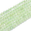 Natural Prehnite Beads Strands G-G792-33A-1