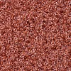 MIYUKI Round Rocailles Beads X-SEED-G007-RR0214-3