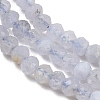 Natural Blue Lace Agate Beads Strands G-D347-B01-4