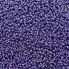 MIYUKI Round Rocailles Beads X-SEED-G008-RR0432-3