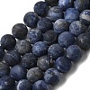 Natural Sodalite Beads Strands X-G-Q462-8mm-07-2