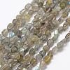 Natural Labradorite Beads Strands G-F521-42-1