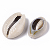 Natural Cowrie Shell Beads LS-SSHEL-N034-33-3