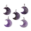 Natural Amethyst Pendants G-Z022-04C-1