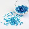 6/0 Round Silver Lined Round Hole Glass Seed Beads X-SEED-A005-4mm-23B-1