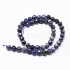 Natural Sodalite Beads Strands X-G-D840-19-8mm-2