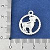 Twelve Constellations Alloy Pendants PALLOY-Q006-01H-S-3