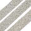 Glitter Resin Hotfix Rhinestone(Hot Melt Adhesive On The Back) OCOR-XCP0002-34-2
