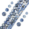 GOMAKERER 4 Strands 4 Styles Natural Blue Spot Jasper Beads Strands G-GO0001-48-1