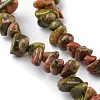 Natural Unakite Beads Strands G-G0003-B13-4