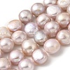 Natural Cultured Freshwater Pearl Beads Strands PEAR-A006-13D-X-2