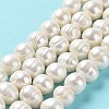 Natural Cultured Freshwater Pearl Beads Strands PEAR-E019-04-2
