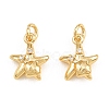 Brass Micro Pave Clear Cubic Zirconia Charms KK-Q085-02J-G-1