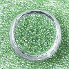 Glass Seed Beads X-SEED-S042-11A-01-2