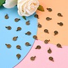 Tibetan Style Alloy Charms X-MLF0339Y-NF-5