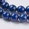 Natural Lapis Lazuli Beads Strands X-G-G423-10mm-A-3