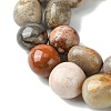 Natural Fossil Coral Beads Strands G-G117-A01-01-4