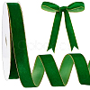 1 Roll 20 Yards Velvet Ribbons SRIB-PH0001-71B-1