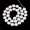 Plating Natural Freshwater Shell Beads Strands SHEL-N026-225C-2