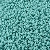 MIYUKI Delica Beads X-SEED-J020-DB1136-3