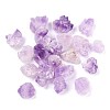Rough Raw Natural Amethyst Beads G-M376-01-3