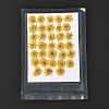 Pressed Dried Flowers DIY-K032-58A-1