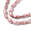Freshwater Shell Beads Strands SHEL-N026-141D-3